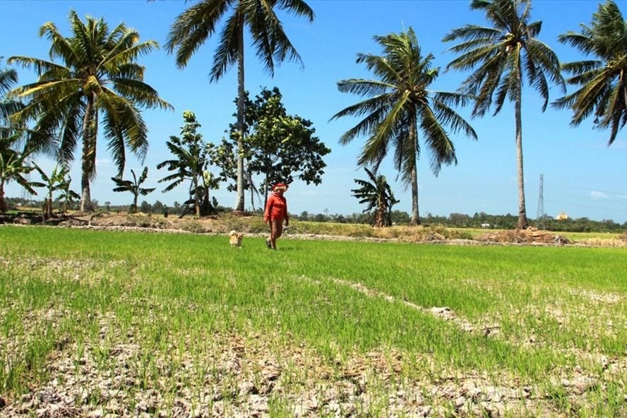 ĐỒNG KHỞI CHỦ ĐỘNG ỨNG PHÓ HẠN HÁN, XÂM NHẬP MẶN
