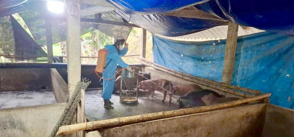 Đồng Khởi chủ động phòng, chống dịch bệnh trên đàn vật nuôi